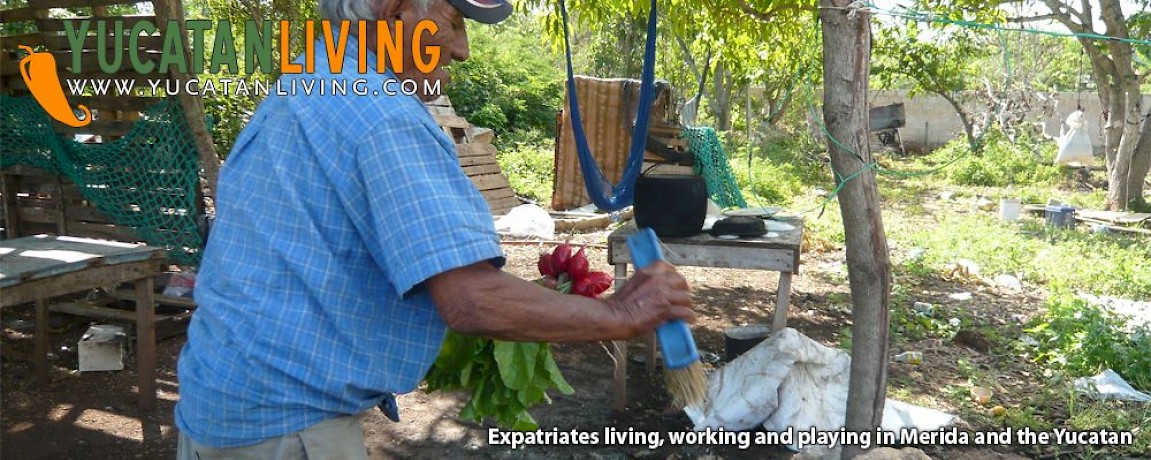 Organic Produce in Merida