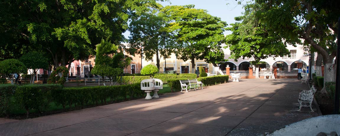 Candelaria Fiesta in Valladolid