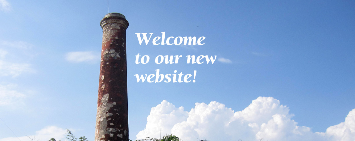 This New Yucatan Living Website