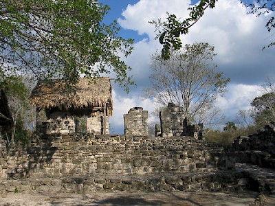 San Gervasio Ruinas on Cozumel &lt;a href=&gt;&lt;/a&gt; <a href=></a>