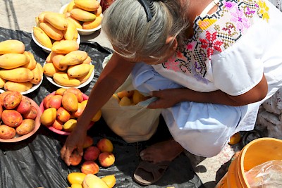 Photo by Ellen Fields <a href=></a>