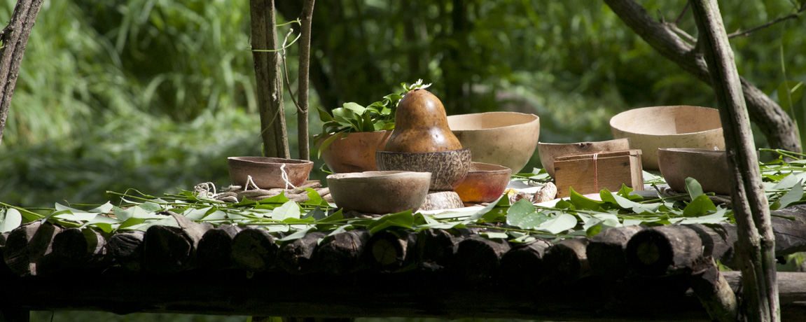 Yucatan News: Shamans & Mangroves