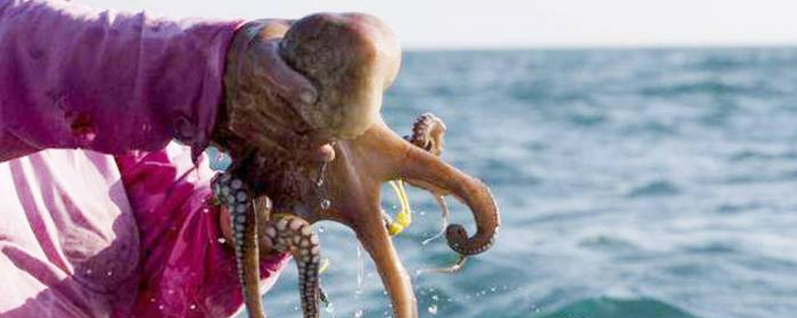 Yucatan News: What a Beginning to 2017!