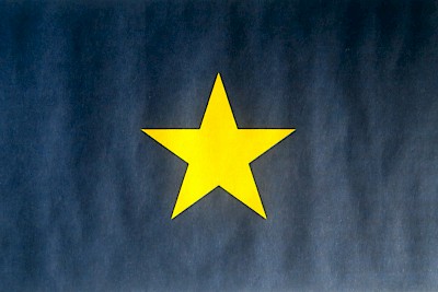 First official flag of the Republic of Texas (1836-1839)