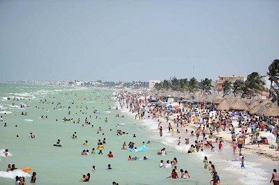 Progreso Semana Santa