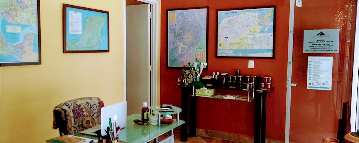 Yucatan Homes and Lots