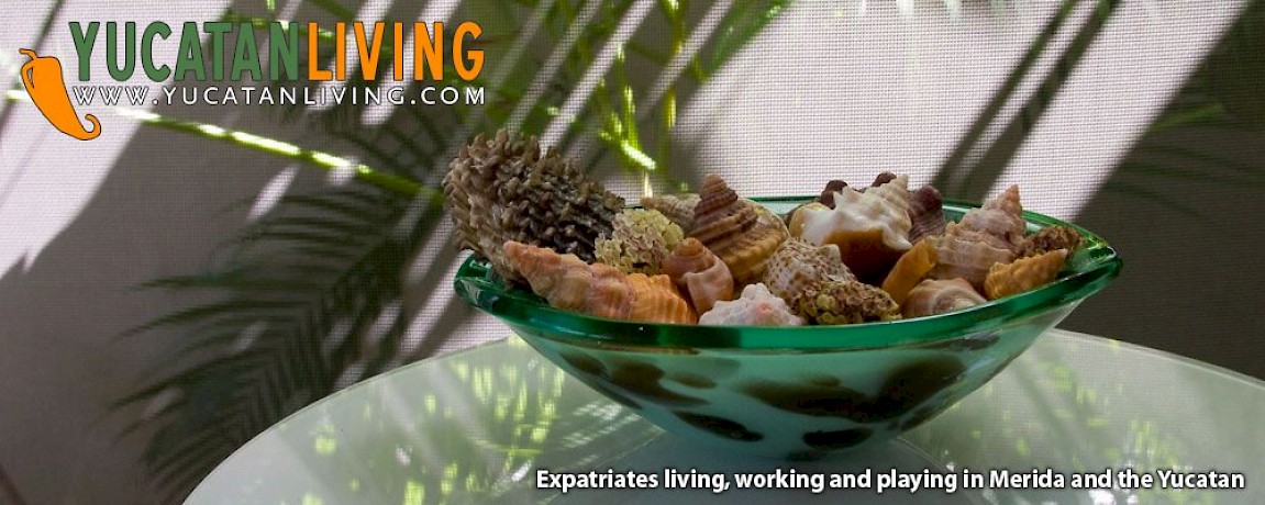 Merida House Video: Affordable Modern