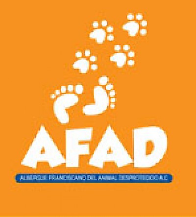 AFAD Animal Shelter in Merida