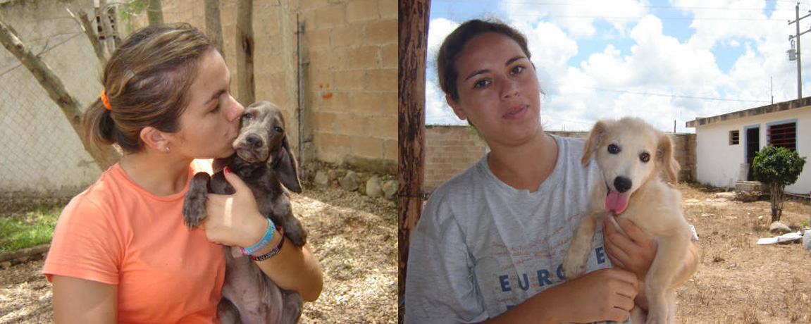 Volunteering Opportunities in Yucatan