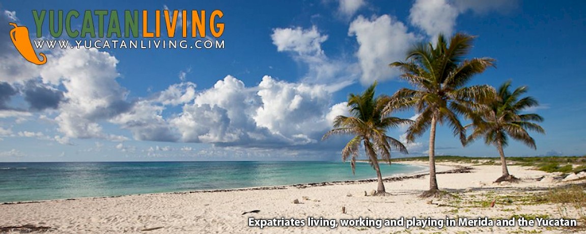 Expat Letter from Cozumel