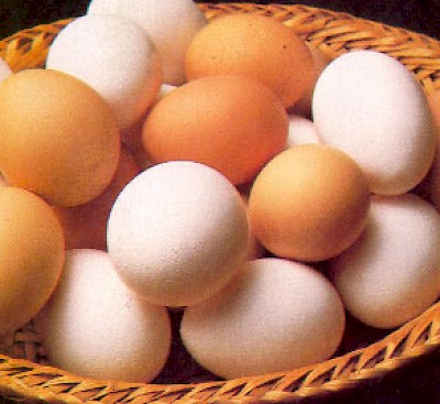eggs