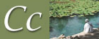 C is for cenotes in Yucatan