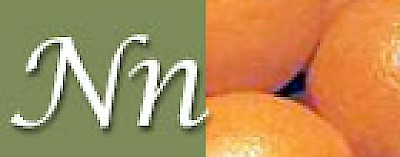 N is for Naranjas and other fruits in Yucatan