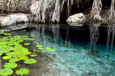 cenote