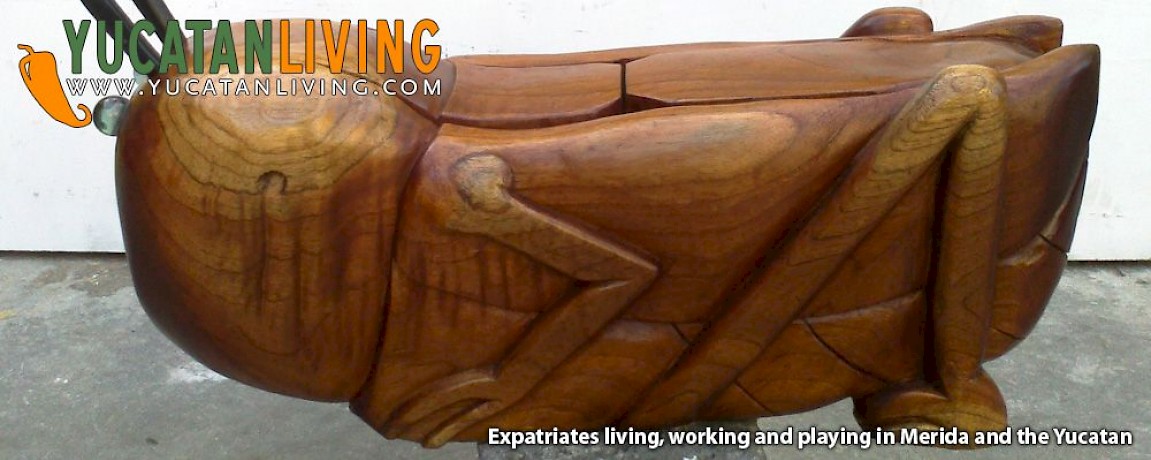 Christmas Shopping at AANY