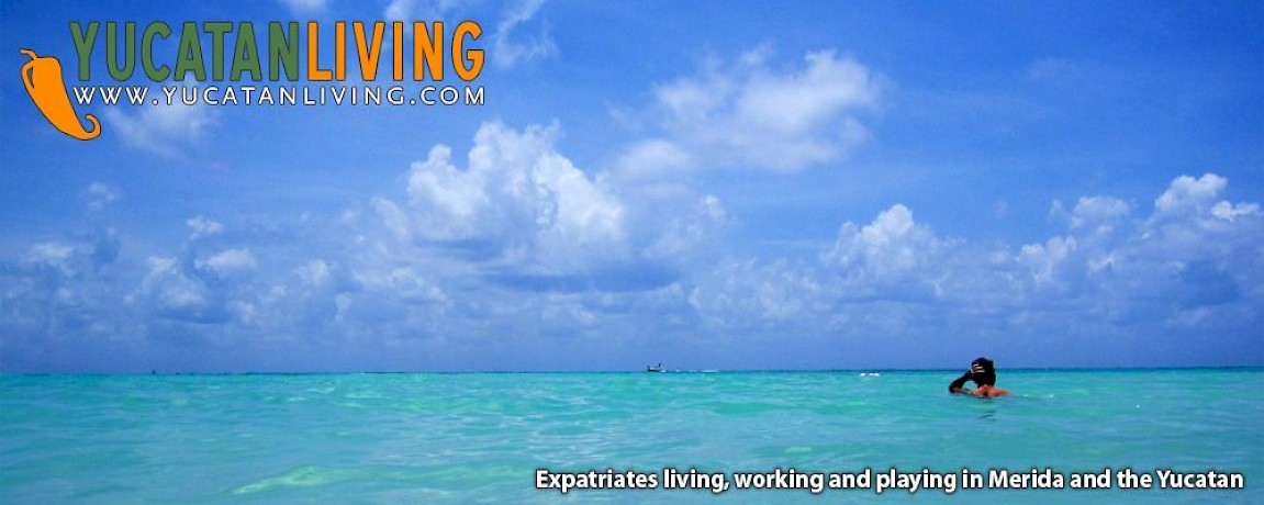 US Citizens: Time to Think About Voting