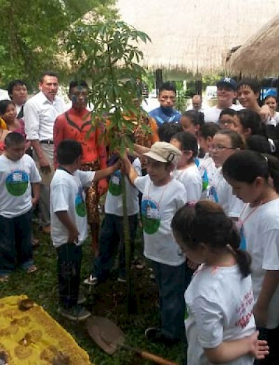 treeplanting