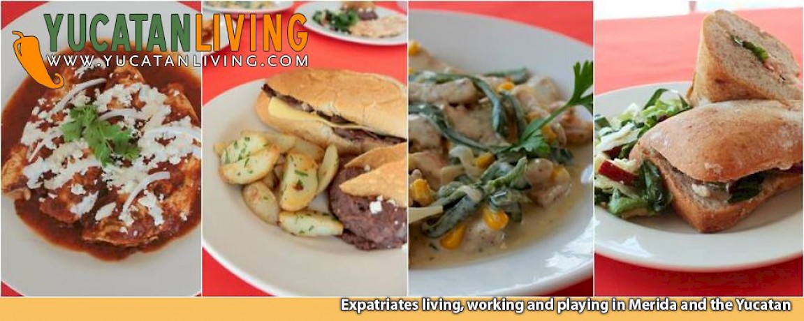 Restaurant University in Merida