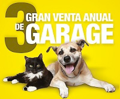 Animal Welfare in Yucatan Mexico