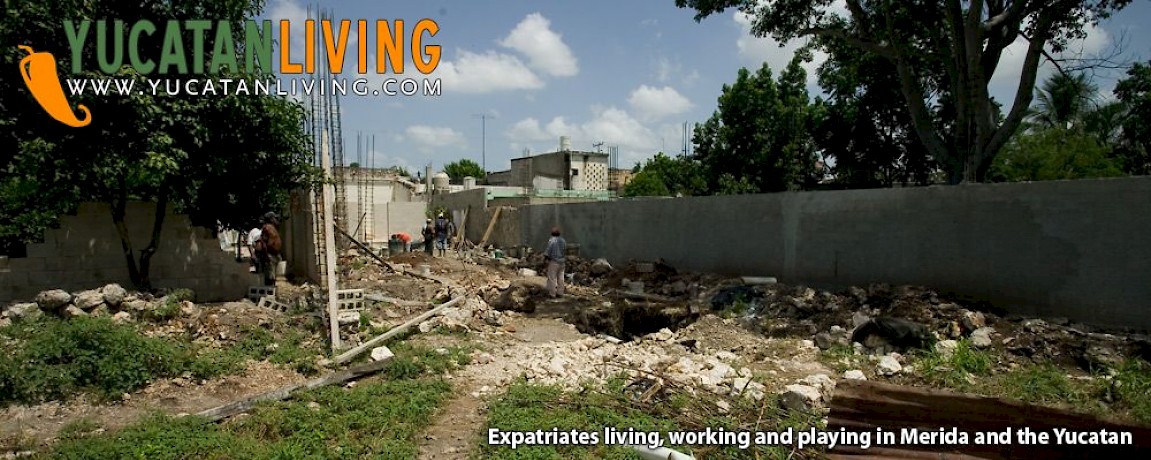 Building Our House II