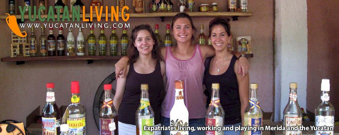 D'Aristi Factory: Xtabentun Tour