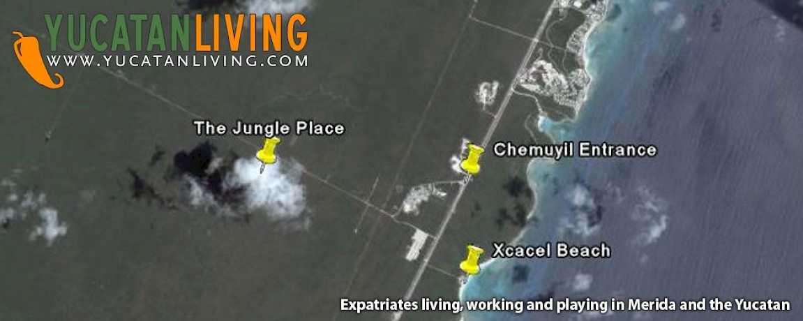 A Place for Spider Monkeys