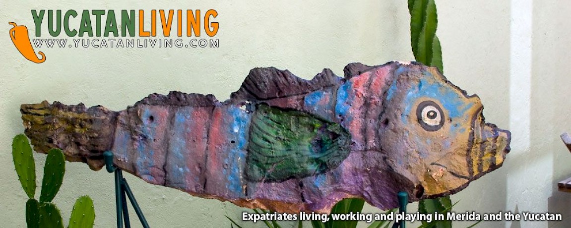 Artesanías Creativas - AANY