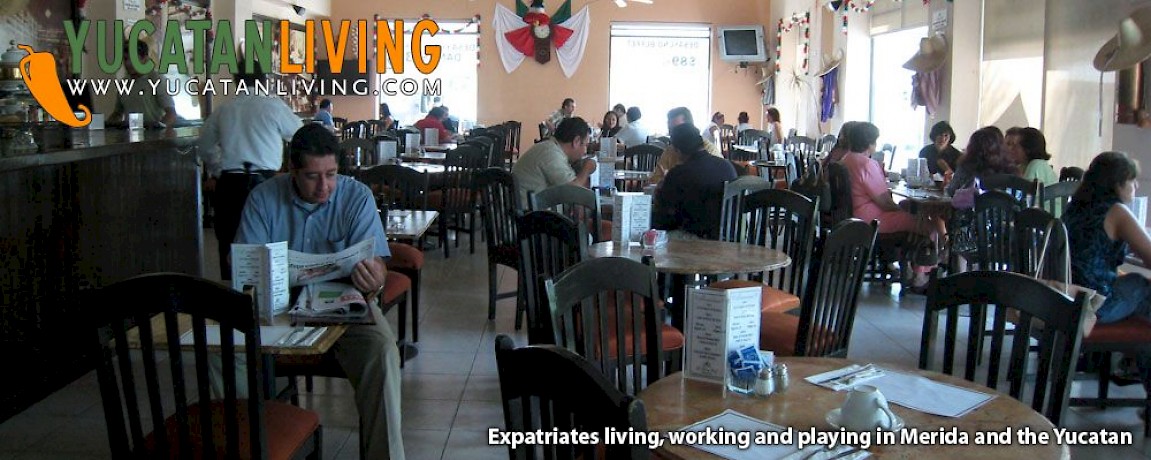 Best Place for a Cup of Coffee