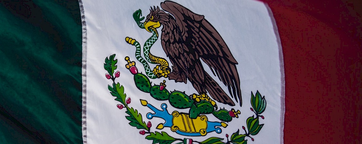 Insurance for Expats